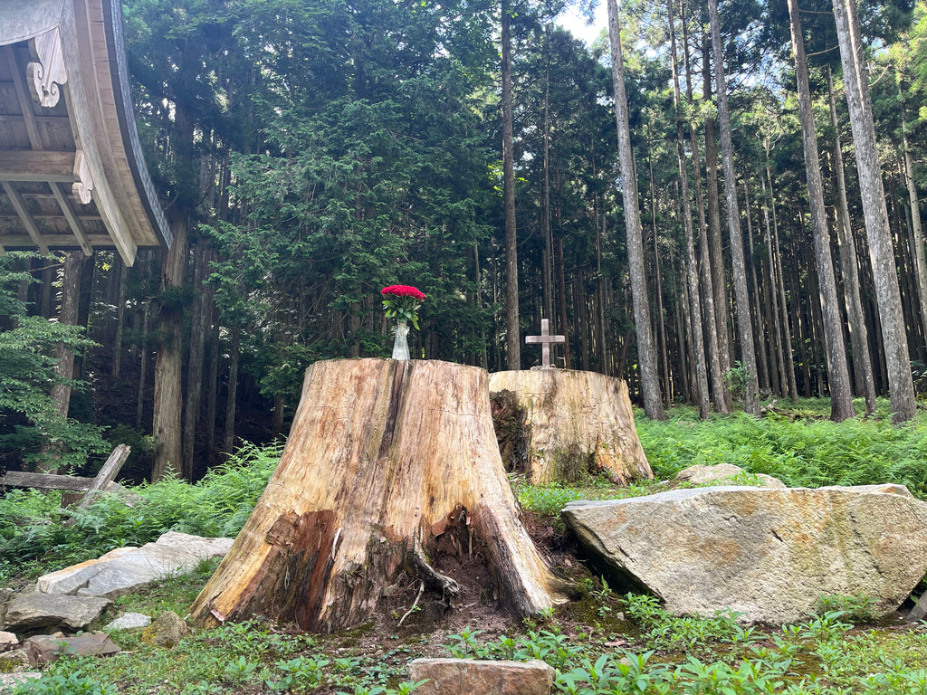 "Rose and Cross" Large Poster